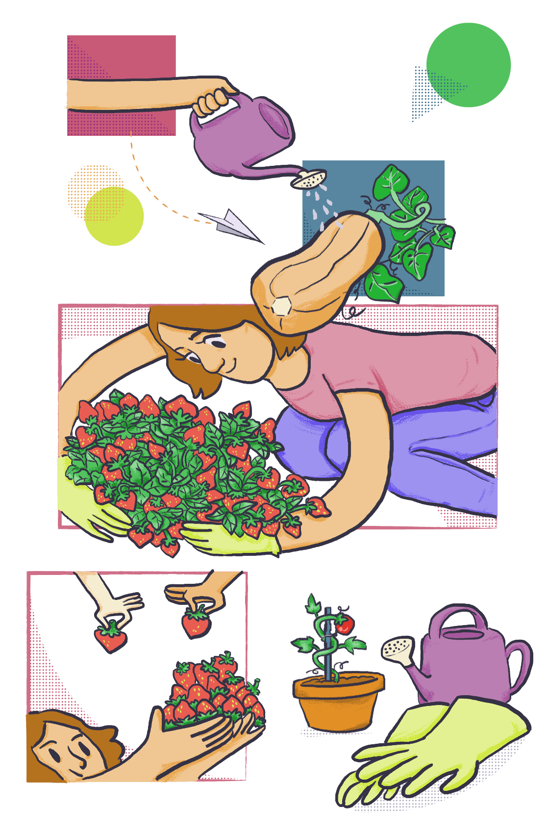 Special needs care garden respite